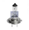 DAF 1426627 Bulb, headlight